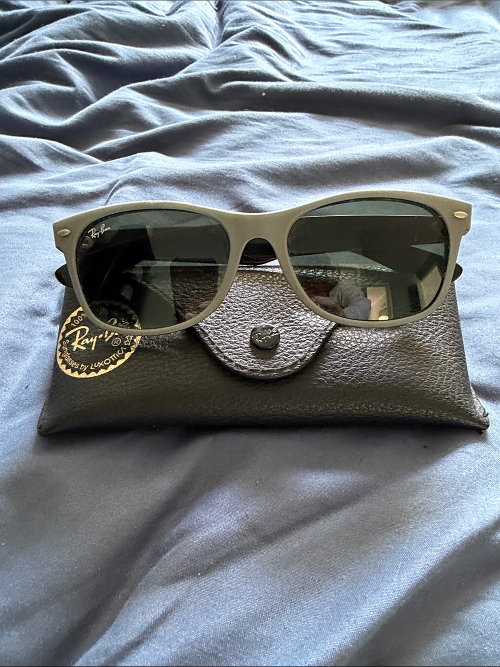 Ray-Ban Matte Black Frame Sunglasses with Dark Green Lenses